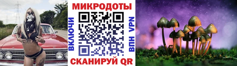 наркота  Спасск  Галлюциногенные грибы MAGIC MUSHROOMS 